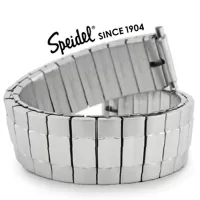 Speidel logo